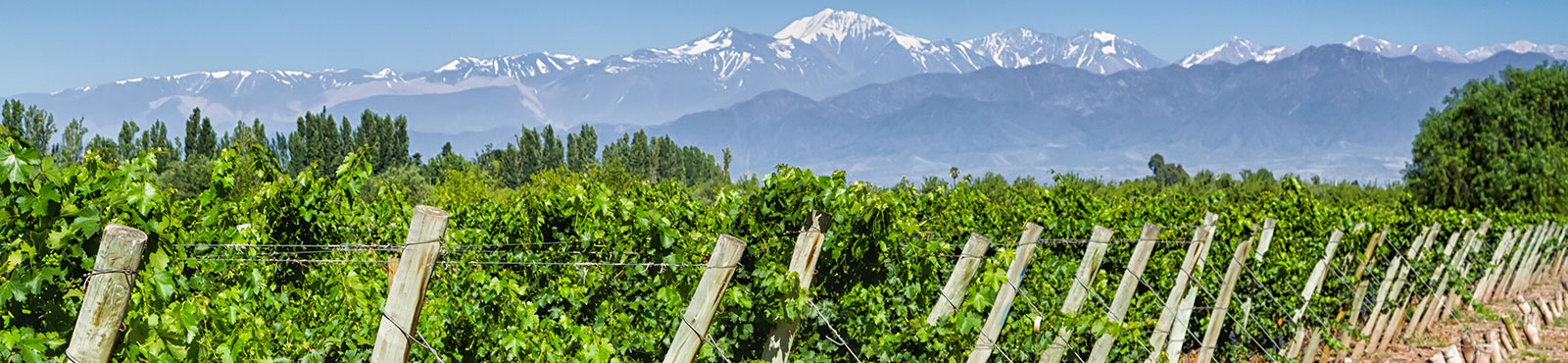Argentin_Tema_Banner_Berg_shutterstock_409829482