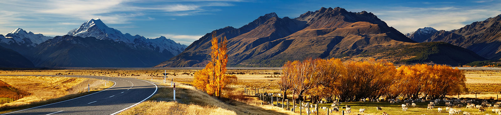 Nya-Zeeland_Tema_Banner_Mount-Cook_shutterstock_214318654