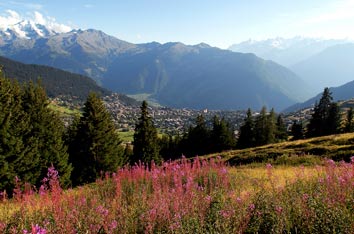 schweiz4
