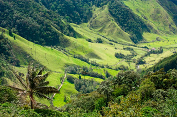 Colombia-1