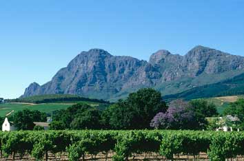 southafrica3