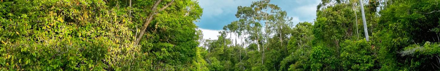 malaysia_kinabantangan_river_BANNER_shutterstock_410887681