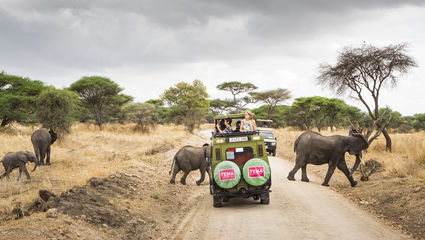 Safari till Serengeti med Zanzibar