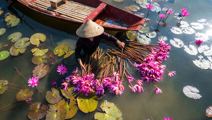 Vackra Vietnam