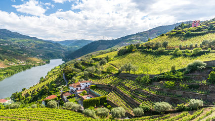 Vinvandring i Dourodalen