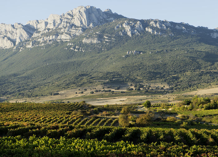La Rioja, Laguardia