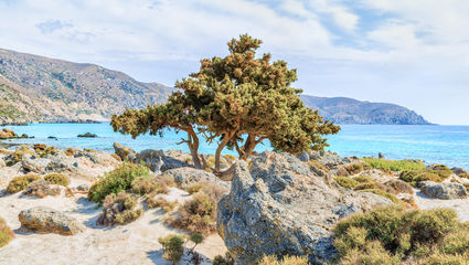 Vandring på västra Kreta